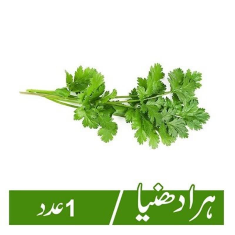 Coriander (Hara Dhania) - 1Pc