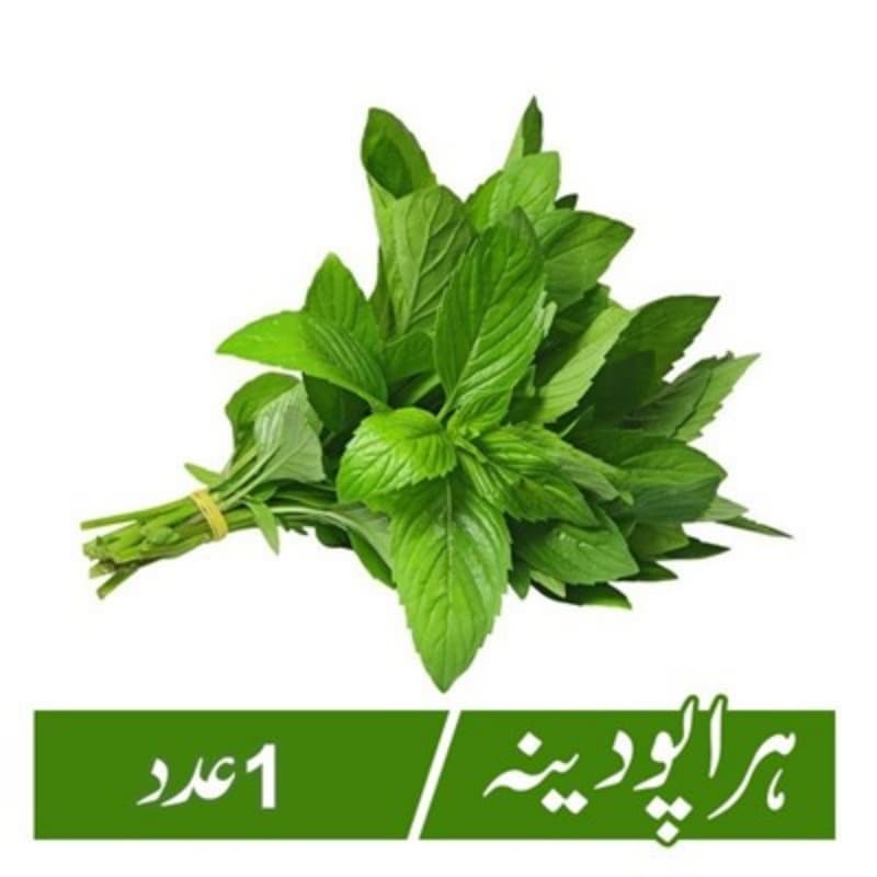 Mint (Hara Podina) - 1Pc