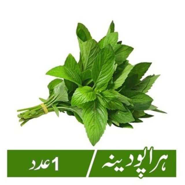 Mint (Hara Podina) - 1Pc