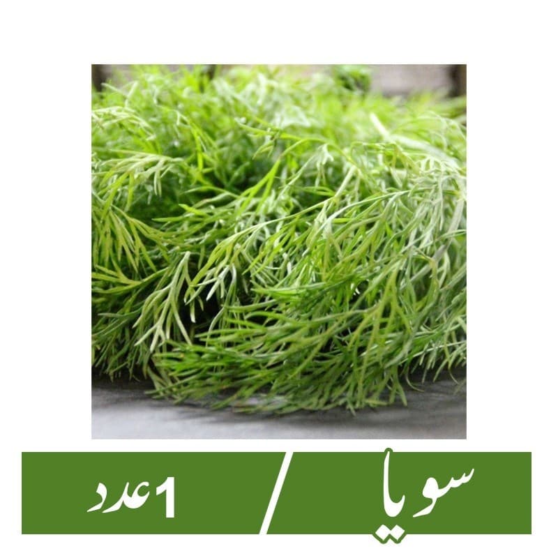 Dill (Soya) - 1Pc
