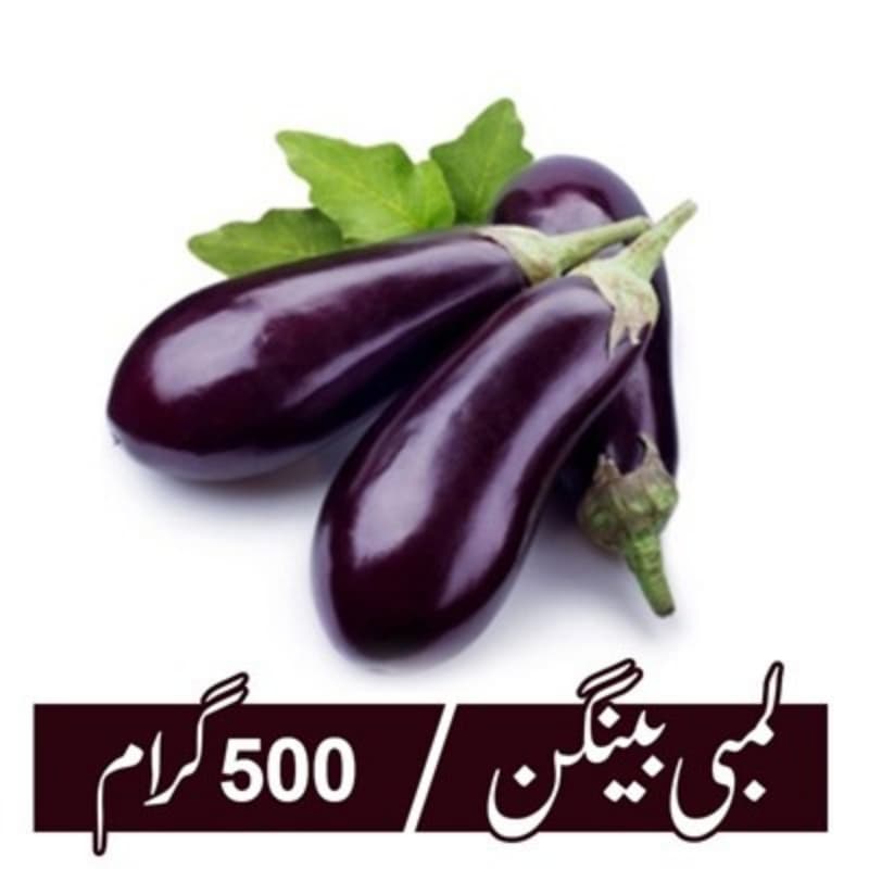 Eggplant (Lambi Baingan) - 500gm
