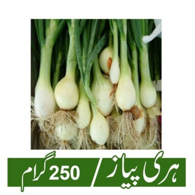 Spring Onion (Hari Pyaz) - 250gm